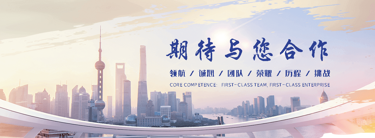 巴青海狮租赁公司